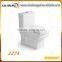 Sanitary Ware Bathroom Porcelain Square Washdown One Piece Toilet