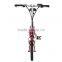 Mini Bike Bicycle 2015 New Style 14" 180w Foldable Electric Bike , Power Assitant Bicycle , Bicycle