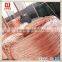 VV 0.6/1KV 2*6mm2 copper core PVC insulated PVC sheathed power cable