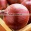 Fresh Onion from Pakistan ( Naqshbandi Enterprises )