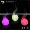 Home/Hotel/coffee shop decoration led Light/LED Ornamental Light