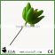 Plastic Small Artificial Plant Succulent Branch in Green with Red Heart