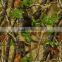 Mossy Oak water transfer printing hydrographics film,high quality , factory price