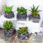 China Manufacturing Plants Decorative Artificial cactus/artificial succulent plant For Sale