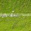 factory price Artificial Grass for landscaping