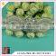 HC-7461-1 Hechun 2016 Factory Price Decorative Pearl Beaded Trim for Dresses
