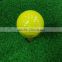 Two pieces practise golf ball