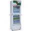 318L upright single door dispaly beer cooler used for Convenience stores
