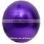 High Quality PVC 65cm Yoga Ball Exercise Fitness Aerobic Ball for GYM Yoga Pilates