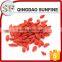 Kosher approval good price goji fruit extraction dried fruit goji Berry
