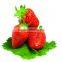 healthy and delicious strawberry chocolate snack food61