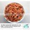 Sun dried crystal red shrimp sale