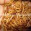 super mealworm bird&fish&reptiles food