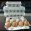 factory sell egg tray molding machines