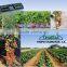 Flat Drip Irrigation