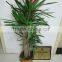 planting pop up tree bag