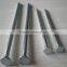 galvanized or polished common iron nails(factory)