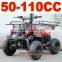 Raptor 110cc ATV