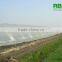 Tunnel 600 film cover low cost agricultural farming Galvanized Steel Frame green house easily assembled single or multi span