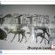 Australia style laser cutting rusty screen for outdoor privacy/laser cutting service