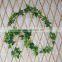 indoor wall hanging ivy vine for decor