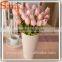 Some color with fake tulips for artificial flower. Certificate for ISO9001 SGS.
