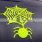China Supplier Wholesale Fasionable Spider Sticky Mat on Express