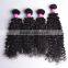 Black Rose China Hair Factory Brazilian Virgin Curly Hair Weaving