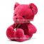 Custom Wholesale Red Teddy Bears Plush Toys