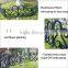 (548) Economic Cheap Small Garden Picket Fence Artistic Garden Fence Design