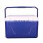 GiNT 10L Made in China Hot Selling Good Design Food Plastic Cooler Box