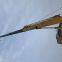 XCMG 35 Ton QY35KA Truck Crane