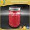 430ml Attractive Painting Glass Mason Jar with Iron Wire