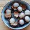 Elektrische Rambutan-Sch?lmaschine