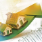 Best Online Real Estate Web Portal & Mobile App Company