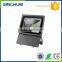 CE ROHS Certificated Traditional High Power Led Lighting Cob 100w Led Flood Light