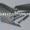 polished common iron nails
