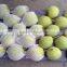 2016 new crops Shandong Pear