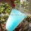 Transparent Beverage Bag