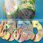 China Blank CD-R Offering With Competive Price cd Blank Export