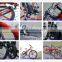 Flash, hot sale 250w electronic bike wheels mountain for personal transporter