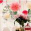 Nice pom poms paper flower ball for wedding decoration wedding