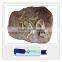 Park decoration artificial life size dinosaur bones