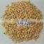 Good price Vietnam cashew nut kernels