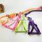 New Pet Dog Traction Rope Leading Harness for XS-M Size Dog