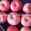 chinese fuji apple fuji