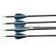 Quality professional carbon shaft material,carbon fiber arrow for recurve bow