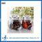 Salt Sugar Coffee, Pepper Kitchen Use Glass Condiment Containers With Plastic Lid