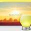 wireless music light, smart music player, magic light lamp, smart mushroom light