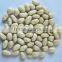 2014 crop ,Blanched Peanut kernels, Long size and Round Size